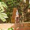 Set of 2 12.5''H Patriotic Distressed Solid Wood Single-Family Decorative Outdoor Garden Birdhouse with 3D Stars
